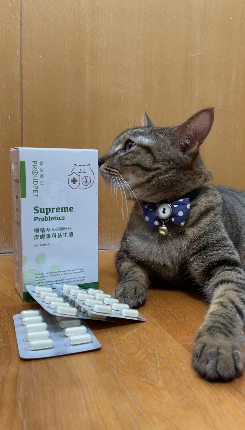 試用
